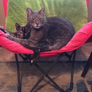 Meet your Posher, Jamie